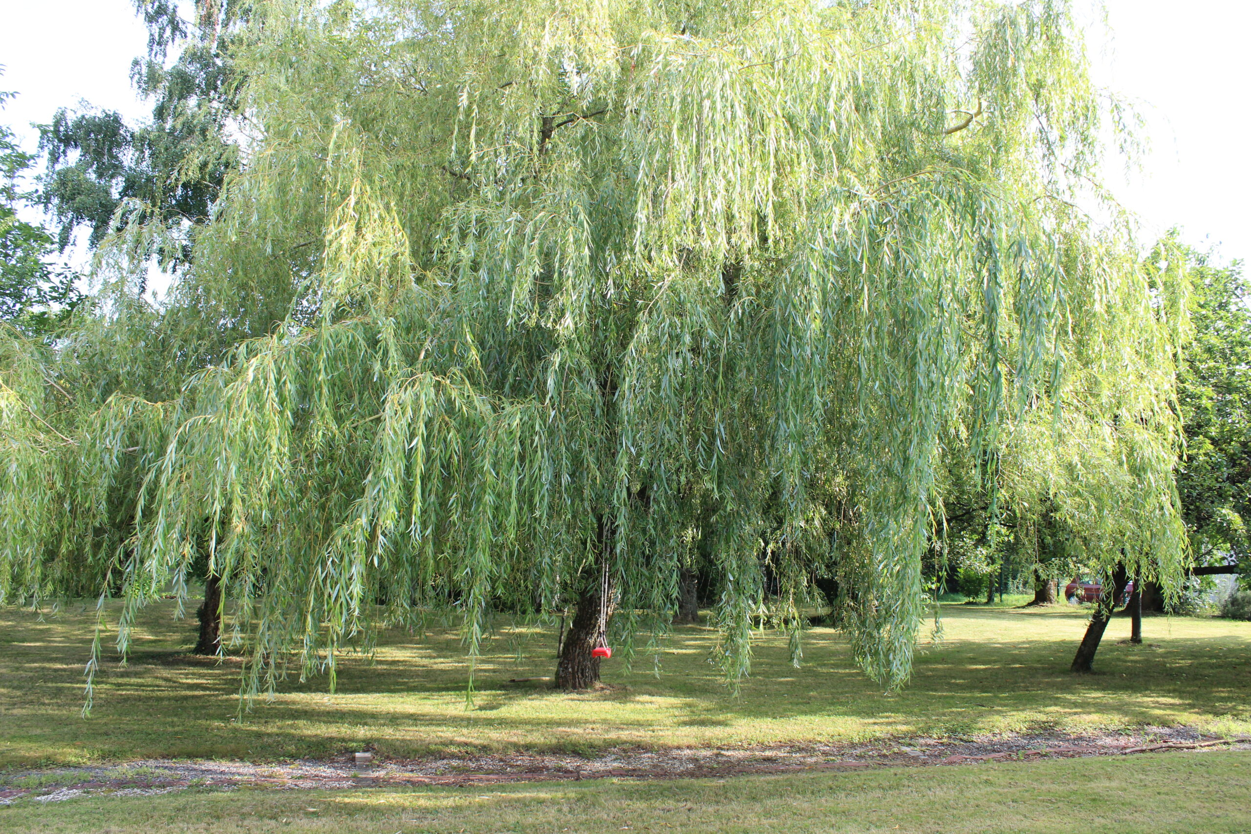 Gîtes au bord de l'étang
