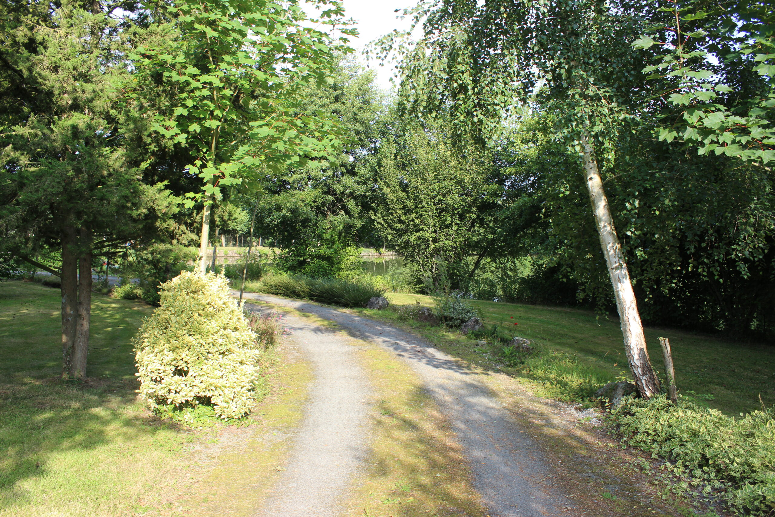 Gîtes au bord de l'étang