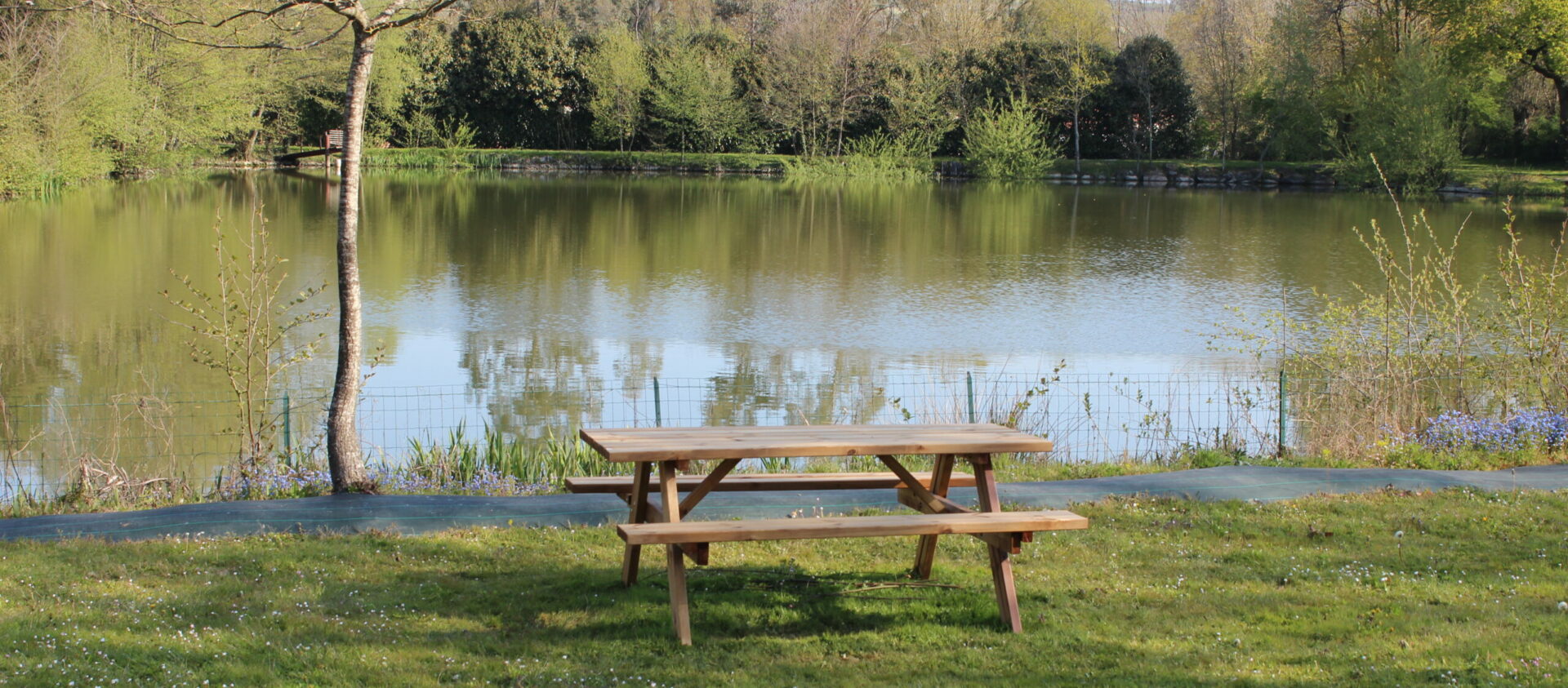 Gîtes au bord de l'étang
