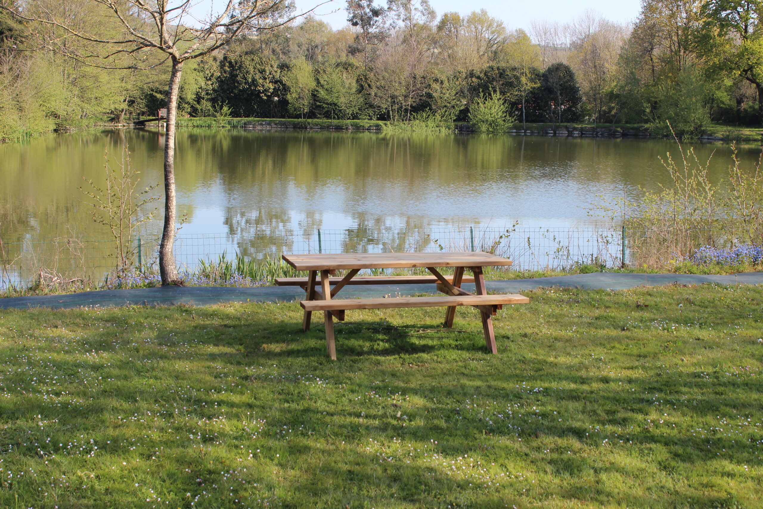 Gîtes au bord de l'étang